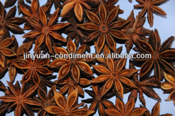 Dried Chinese Star aniseed