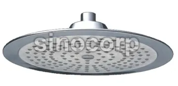 Bathroom Shower Head