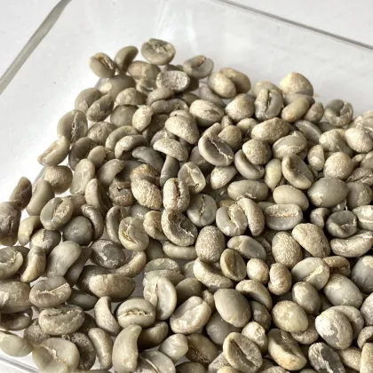 Yunnan Caturra Coffee Beans
