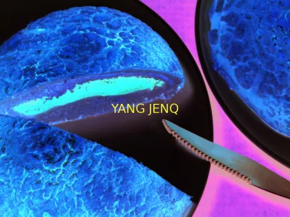 Full - Automatic Filling Bread / Jam Bread / Butter Bread / Bread Production Line