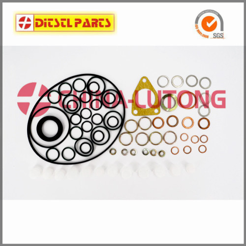 Diesel Ve Injector Pump Rebuild Kitfuel Injector Repair Kit 2 417 010