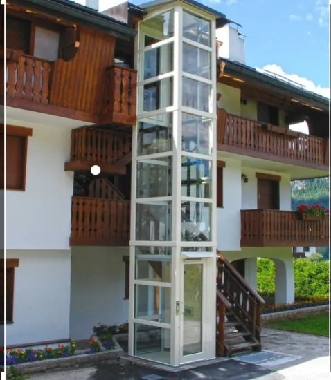 HOT sale 330kg Home Elevator