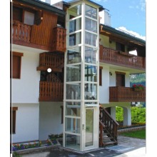 Hot Sale 330kg Home Elevator