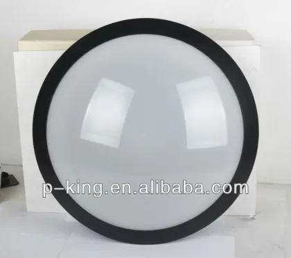 25W Ceiling LED Light IP66 LED Ceiling Light