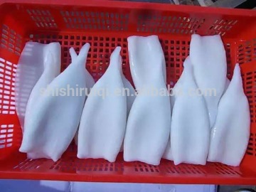 Newly Hot Selling Frozen Illex Squid Tube for sale