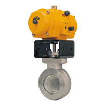 FISHER valve