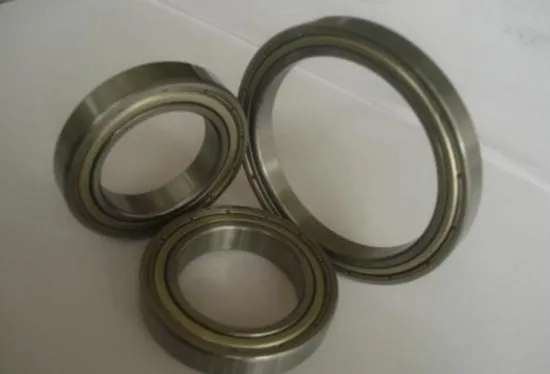 Single Row Deep Groove Ball Bearing (6224)