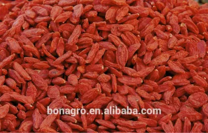 NingXia Goji Berry
