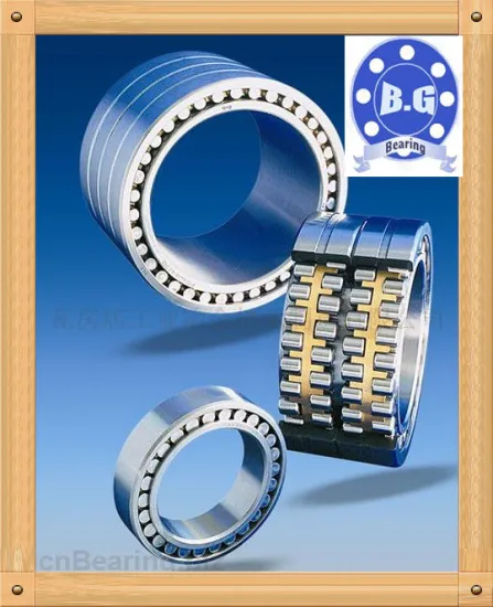 Stainless Steel Agricultural Machines Cylindrical Roller Bearing Nu2230