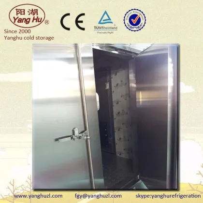 Cold storage door double leaf