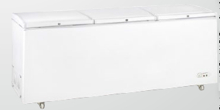 Chest Freezer with High Quality, Deep Freezer (Model: BD/BG-1500)