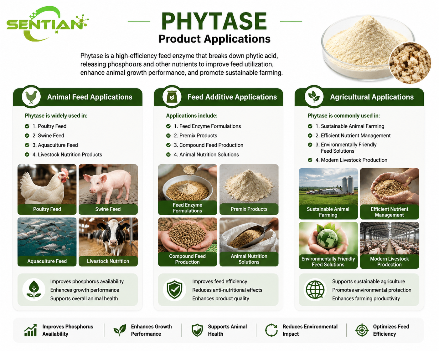 Phytase（2）