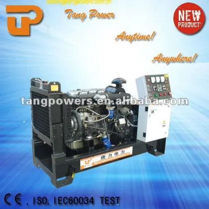 Chinese famouse brand Lion generators