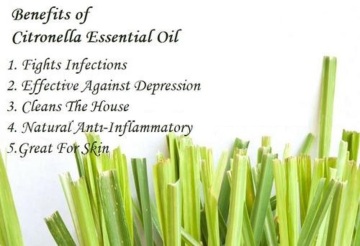 100% Pure Citronella Essential Oil