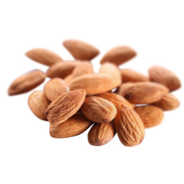 Almonds, Import Agent, ISO 9001:2008 Standard