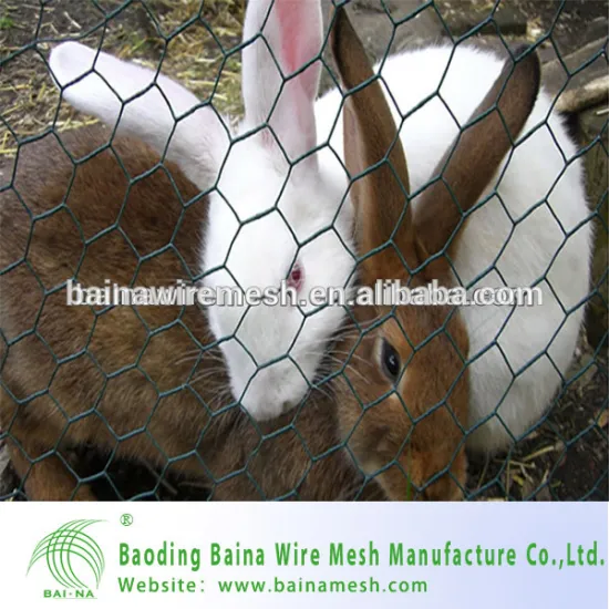Anping PVC Coated Hexagonal Wire Mesh for Rabbit Cage