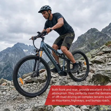 Mountain Pedelec Electric Bike