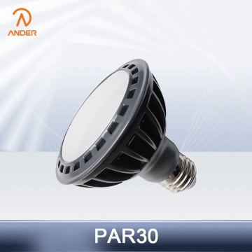 PAR30 15W High Color Rendering LED Spotlight