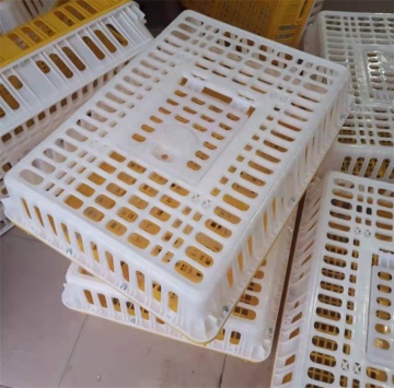 Hot Selling Plastic Chicken Delivery Crates for Efficient Chicken Transport