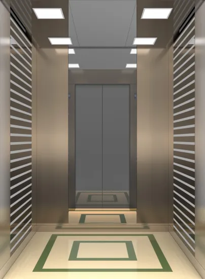 IFE TOP quality passenger elevator with CE