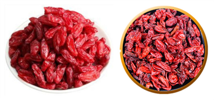 The whole fruit of Cornus officinalis, source of the Dogwood Extract.