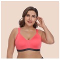 Reggiseno sportivo a coppa intera taglie forti in stock