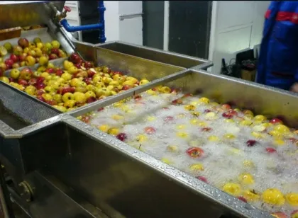 Vegetable and Fruit Cleaning Machine