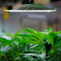 320 Watt Led Grow Light