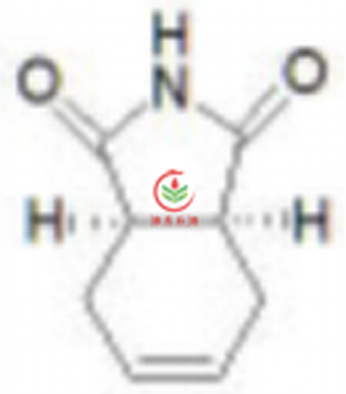 Tetrahydrophthalimide 4 Chemical Structural Formula Png