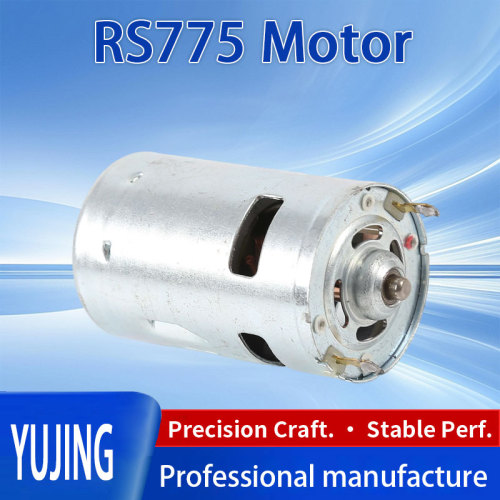 Hassas Yüksek Güçlü DC Motor