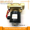 2W350-35 Buharlı Pirinç Solenoid Valf