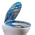 Duroplast Toilet Seat Soft Close (sky)