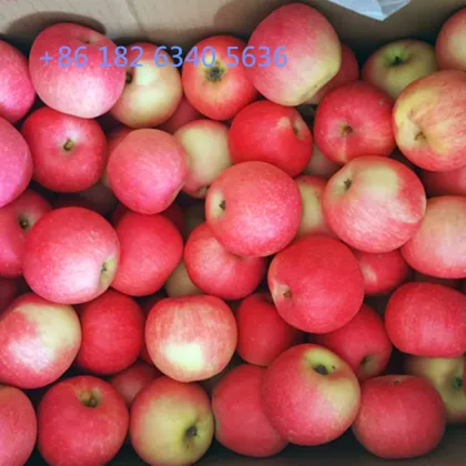 Gala Apple from High Mountain