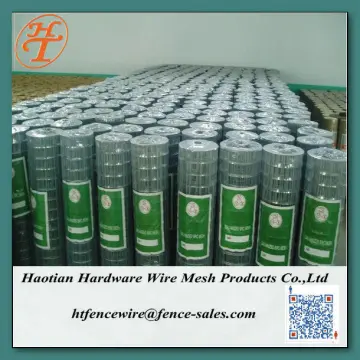 1/4 inch Galvanized animal cage welded wire mesh/welded mesh roll