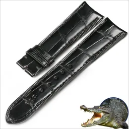 Wholesale crocodile leather strap 19mm