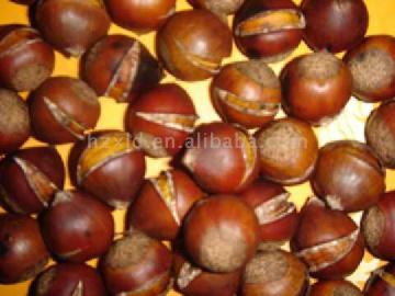 chestnut