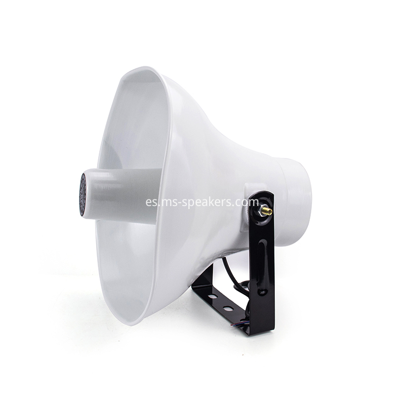 Horn Loudspeaker