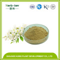 Sophora japonica Extract 95％Quercetin 98％