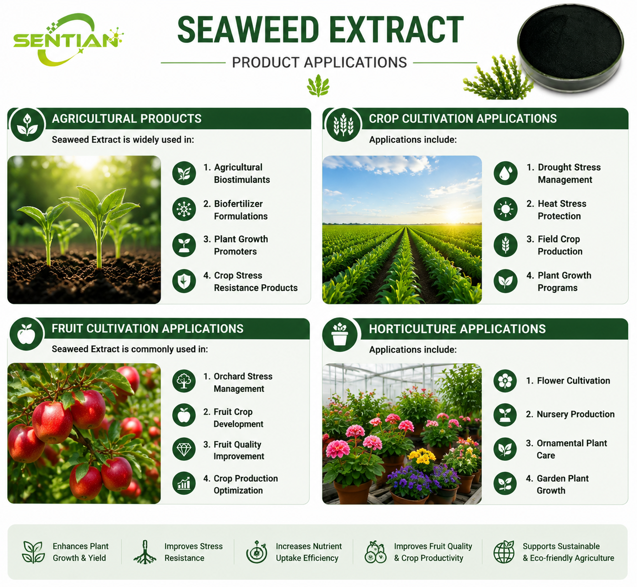 Seaweed Extract（2）