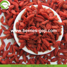 Pemakanan Gred Terbaik Teratas Goji Berry Organik