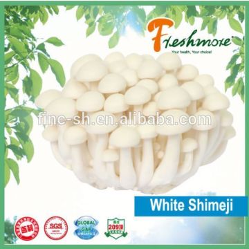 Finc fresh Soilless Culture shiitake mushrooms 1kg