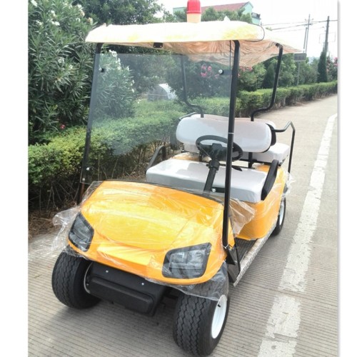 2 Seater Gas Golf Cart