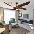 Indoor decorative ceiling fan light with wifi control