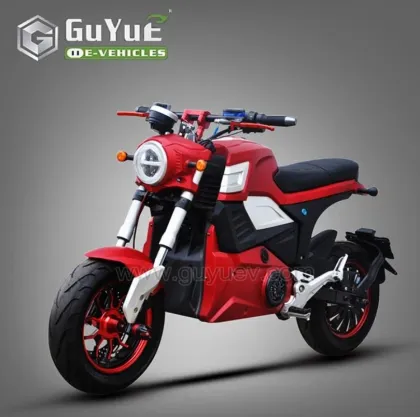 2 Seats Two Wheel Electric Motorcycle