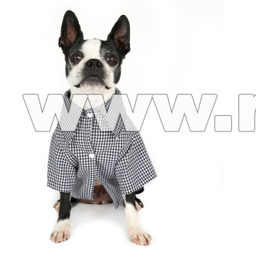 pet clothes dog apparel  cat clothes