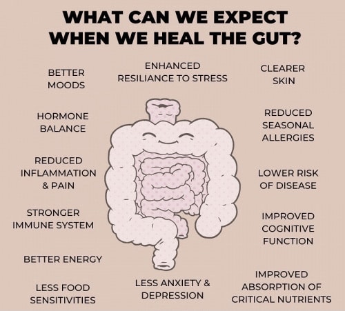 Gut-health-improve