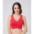 Reggiseno con coppe in pizzo per taglie forti in stock