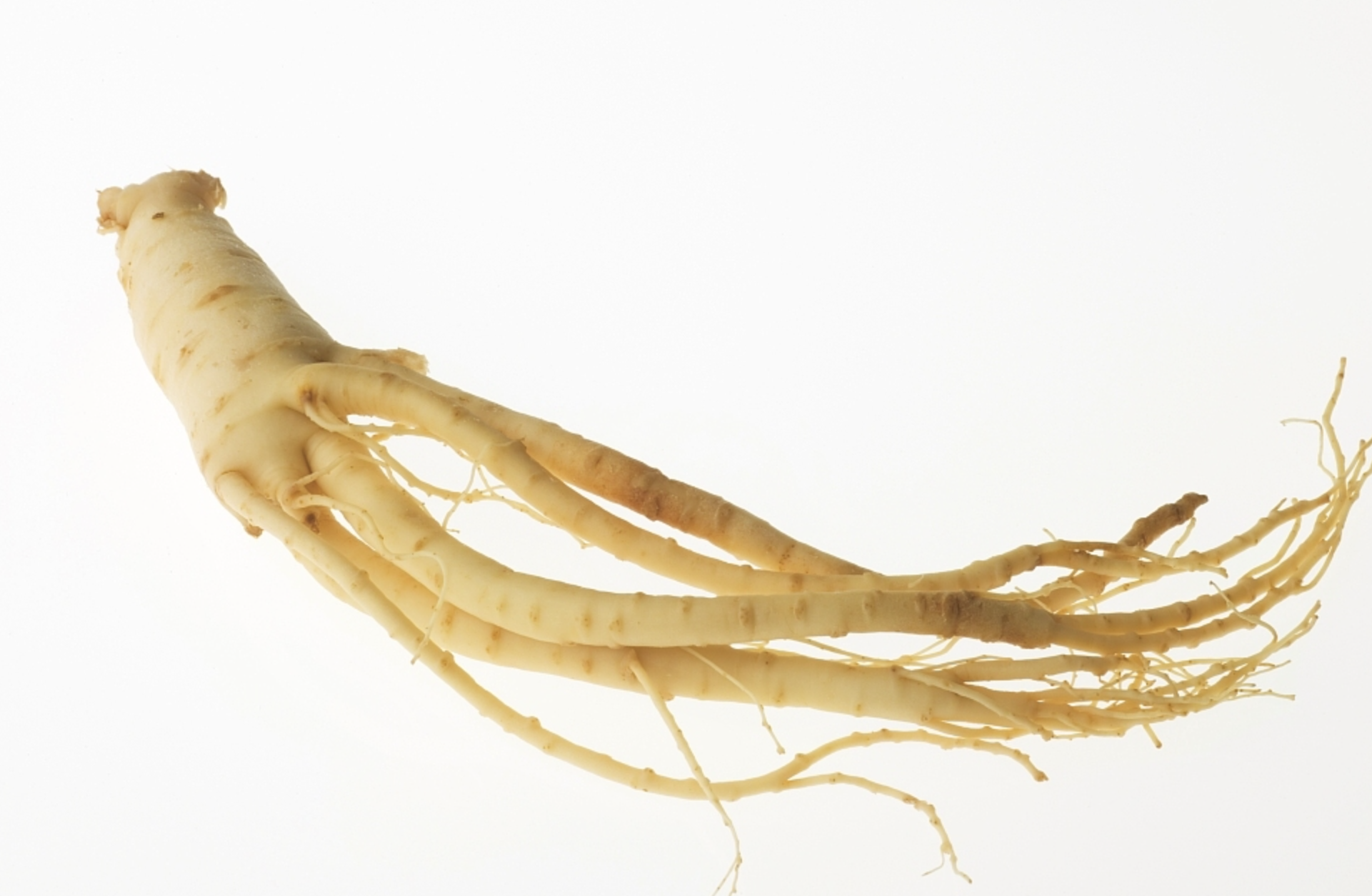 Ginseng Extract Powder Supplier