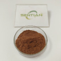 High-Quality Pine Bark Extract