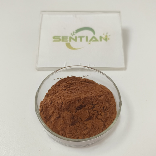 High-Quality Pine Bark Extract